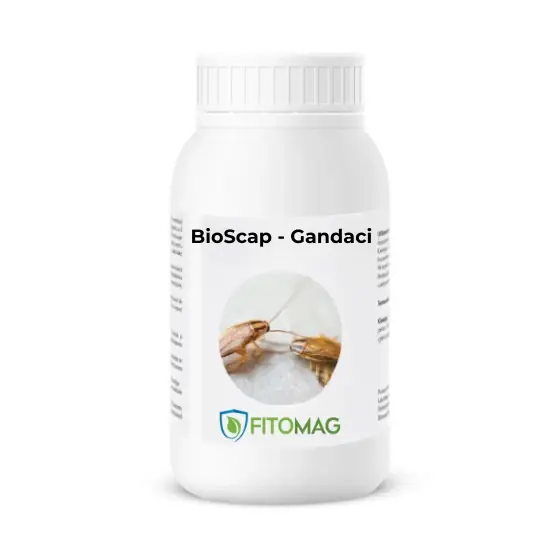 Ofertă limitată Biopreparat BioScap Gandaci De Bucatarie, 1 kg, Fitomag, Pulbere, Contact, Bucatarie, Interior