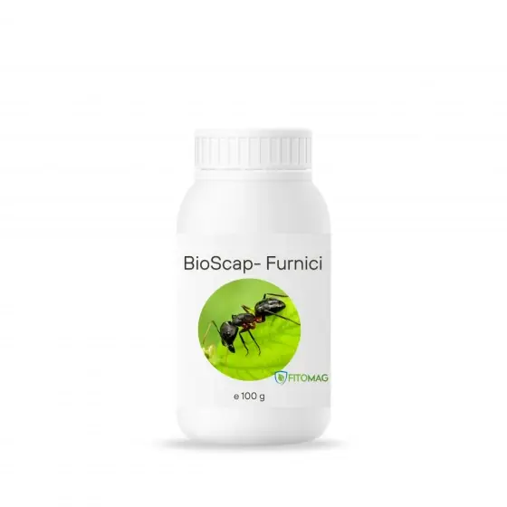 Plată sigură Biopreparat BioScap Furnici, 100 g, Fitomag, Pulbere, Contact, Interior, Gradina