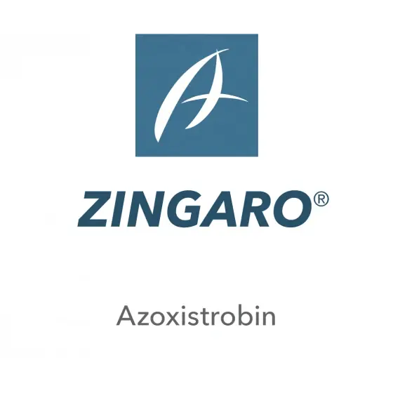 Fungicid Zingaro, 5 l Nu rata