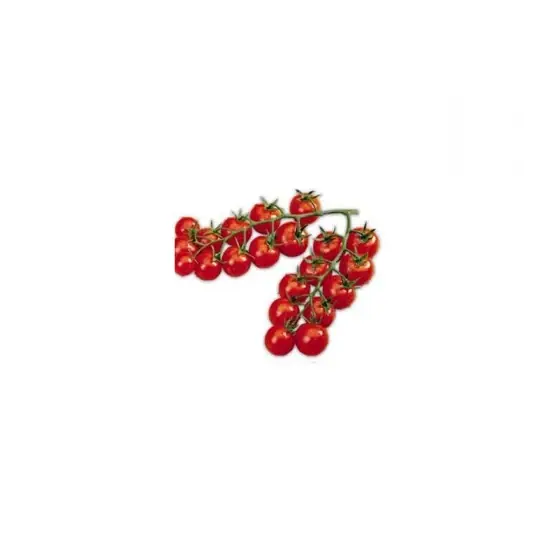 Seminte tomate nedeterminate, cherry, Camelia F1, 100 seminte, Hazera Reduceri