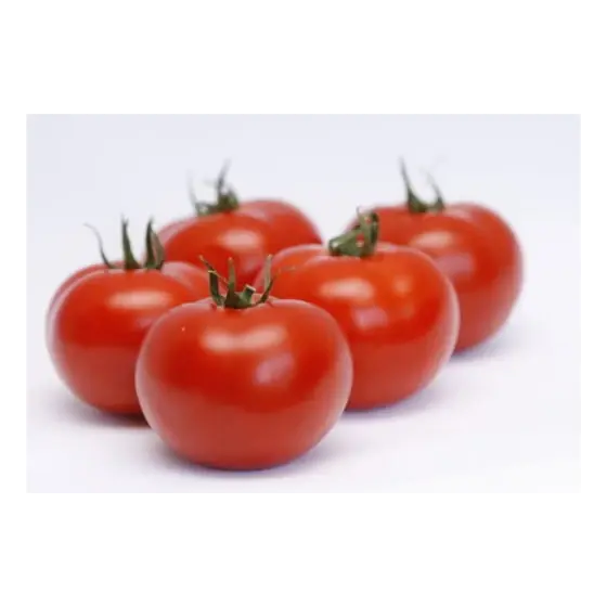 Ieftin Seminte de tomate Abellus F1, 1000 seminte, Rijk Zwaan