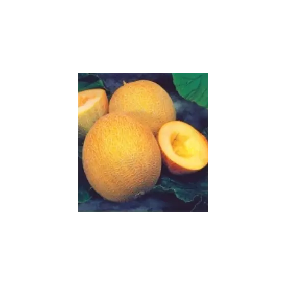 Seminte de pepeni galbeni Ananas F1, 250 grame, Pop Vriend Cumpără online