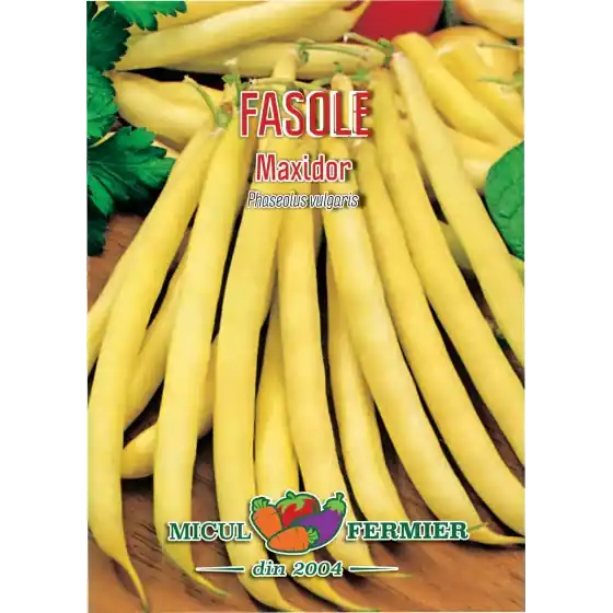 Plată sigură Seminte de fasole fideluta galbena Maxidor, 25 grame, SemPlus