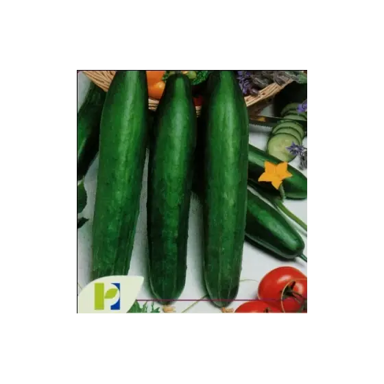 Seminte de castraveti pentru salata Marketmore 10 grame, Pieterpikzonen Preț promoțional
