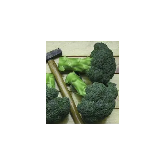 Seminte de broccoli Ironman F1,1000 seminte, Seminis Cumpără acum