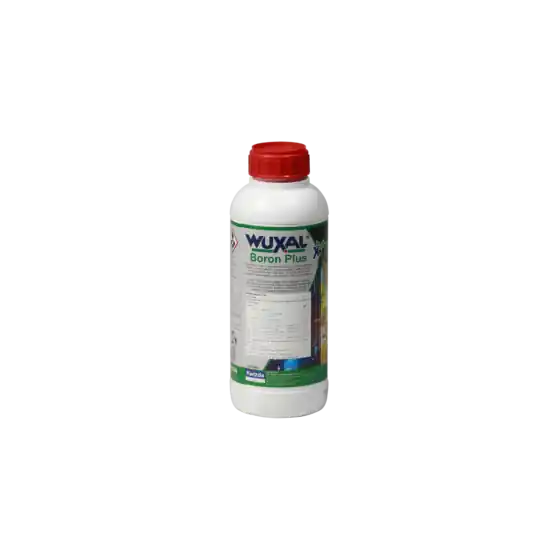 Fertilizant foliar WUXAL BORON PLUS, 10 l Cumpără online