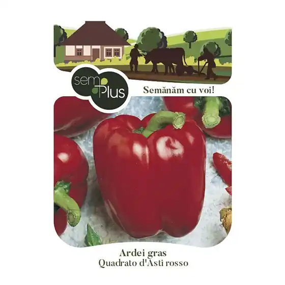Ofertă Seminte de ardei gras Quadrato d Asti Rosso, 0,8 grame, SemPlus