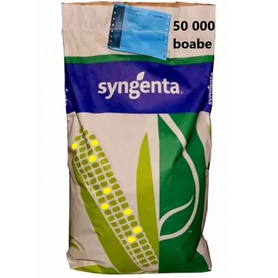 Seminte Porumb SY Pamplona FAO 250-290, sac 50 000 Calitate înaltă