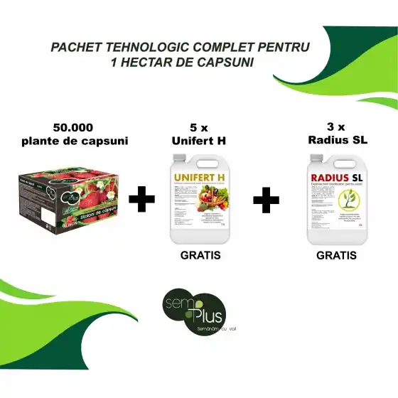 Promoție Pachet tehnologic complet pentru 1 HECTAR DE CAPSUNI (50000 stoloni de capsuni +50 litri ingrasamant foliar Unifert H + 30 litri sterilizant de sol Radius