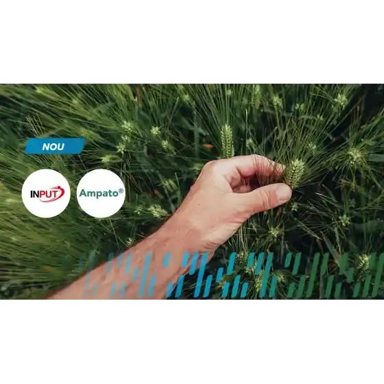 Noutate Pachet tehnologic Input A, Bayer, grau, orz de toamna si primavara