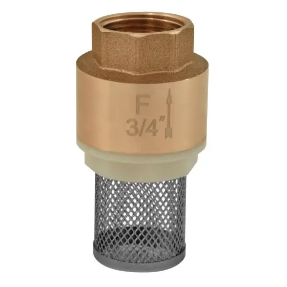 Preț redus Sorb 1/2", Ferro