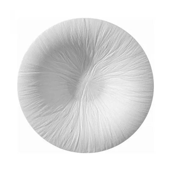 Livrare rapidă Farfurie de paste Fiord 290mm, Fine Dine