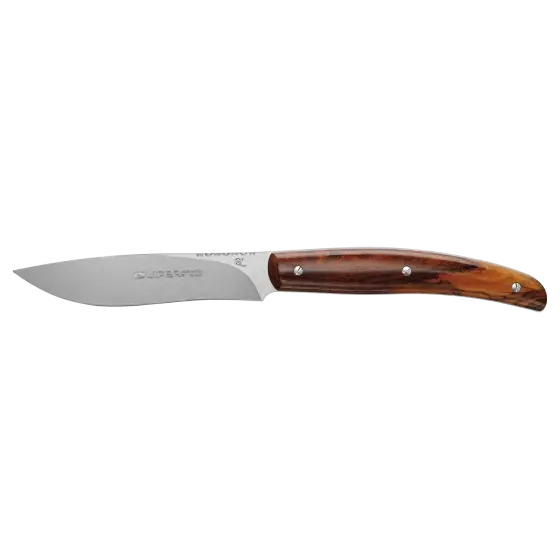 Cumpără online Cutit Friptura Costata CB/04 - Lama Clip Point, Lemn Cocobolo