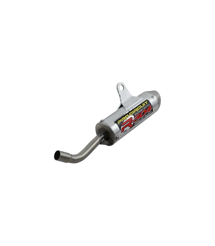 Amortizor R-304 Argintiu Super ofertă