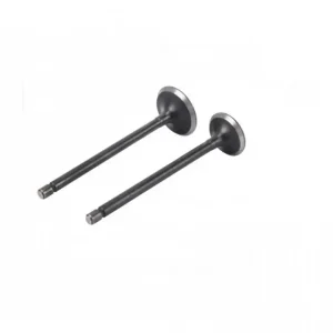 Set supape Zanella RX150/RD 150/CE 150 WST Ofertă de sezon