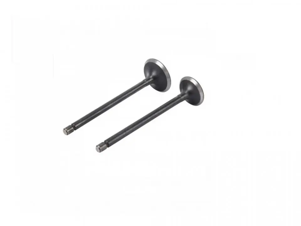 Set supape Zanella RX150/RD 150/CE 150 WST Ofertă de sezon