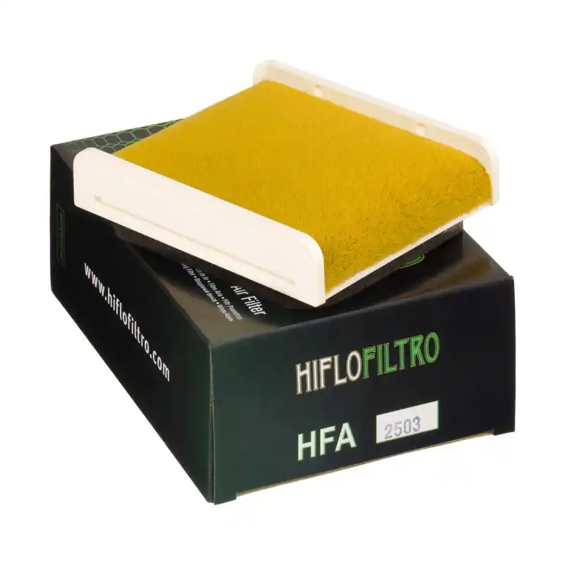 Comandă acum Element filtrant HFA2503, Hiflo Filtro