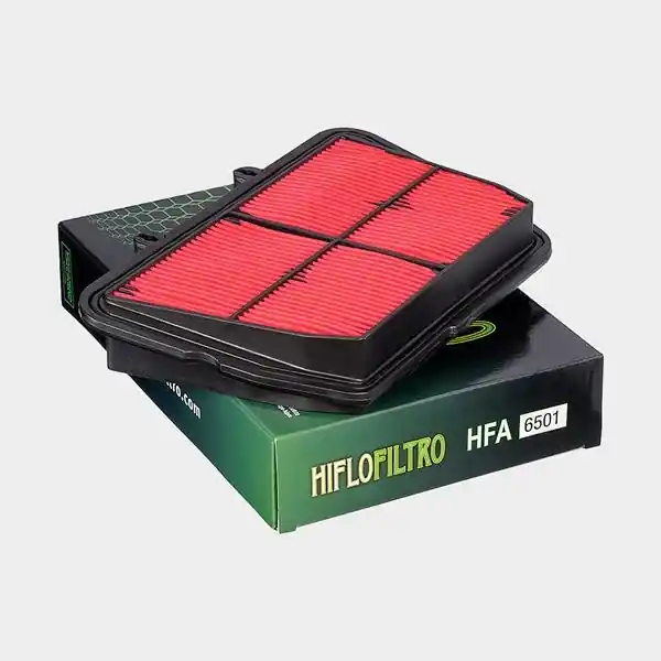 Ofertă limitată Element filtrant HFA6501, Hiflo Filtro